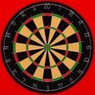 Darts Pro
